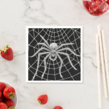 Vintage spider spinning web