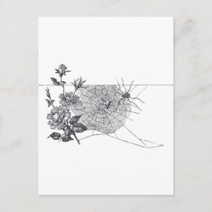 Vintage Spider Web and Rose Black White Postcard
