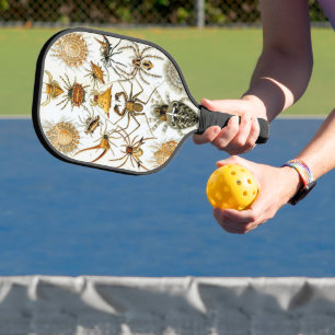 Vintage Spiders or Arachnids by Ernst Haeckel Pickleball Paddle