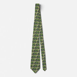 Vintage Sports Baseball Stadium, Aerial View Tie