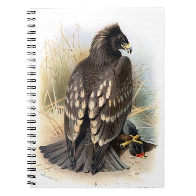 Vintage Spotted Eagle Notebook (Front)
