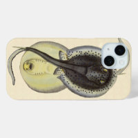 Vintage Spotted Stingrays, Marine Ocean Animals