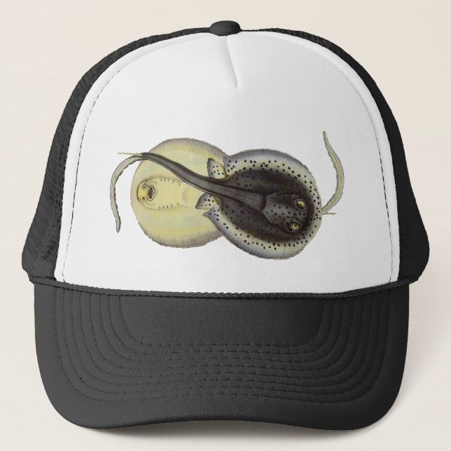 Vintage Spotted Stingrays, Marine Ocean Animals Trucker Hat (Front)