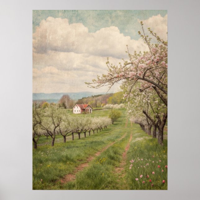 Vintage Spring Blossom Orchard Cottage Art Poster (Front)