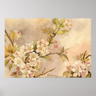 Vintage Spring Blossoms Poster