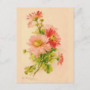 Vintage Spring Bouquet Postcard