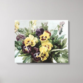 Vintage Spring Pansies Canvas Print