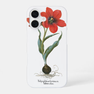 Vintage Spring Red Tulip Garden Flower by Besler iPhone 16 Case