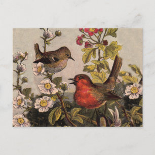 Vintage Spring Robin Songbirds Botanical Floral Postcard