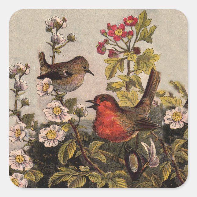 Vintage Spring Robin Songbirds Botanical Floral Square Sticker (Front)