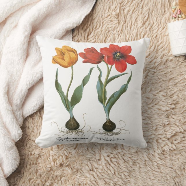 Vintage Spring Tulip Flowers by Basilius Besler Cushion (Blanket)