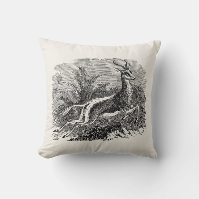 Vintage Springbok Antelope Gazelle Personalised Cushion (Front)