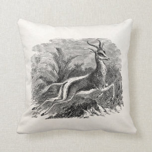 Vintage Springbok Antelope Gazelle Personalised Cushion