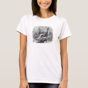 Vintage Springbok Antelope Gazelle Personalised T-Shirt