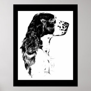 Vintage Springer Spaniel Dog Black And White Art  Poster
