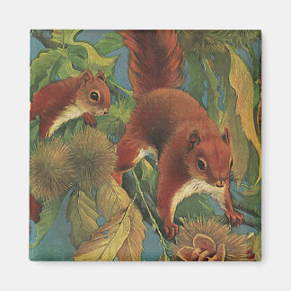Vintage Squirrels, Forest Creatures, Wild Animals Magnet
