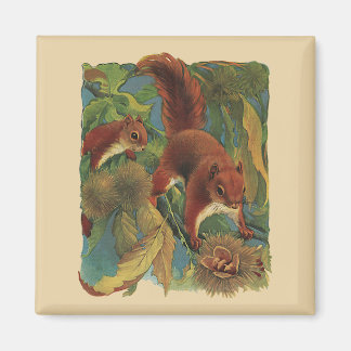 Vintage Squirrels, Forest Creatures, Wild Animals Magnet