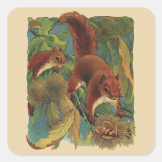 Vintage Squirrels, Forest Creatures, Wild Animals Square Sticker