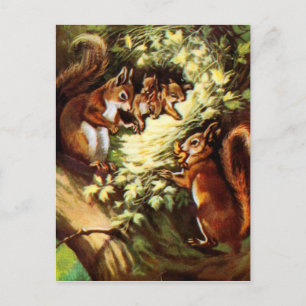 Vintage Squirrels Postcard
