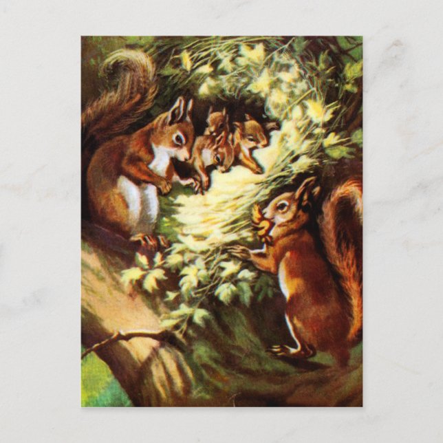 Vintage Squirrels Postcard (Front)