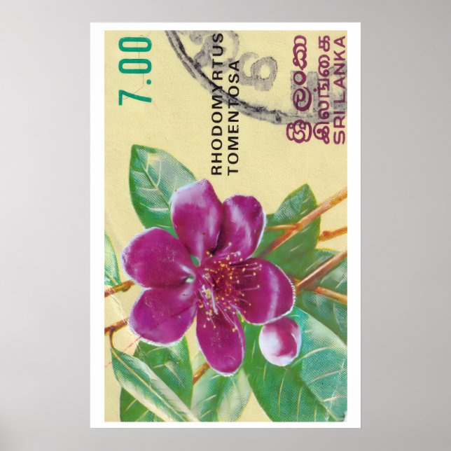 Vintage Sri Lanka Flower Print - Postage Stam (Front)