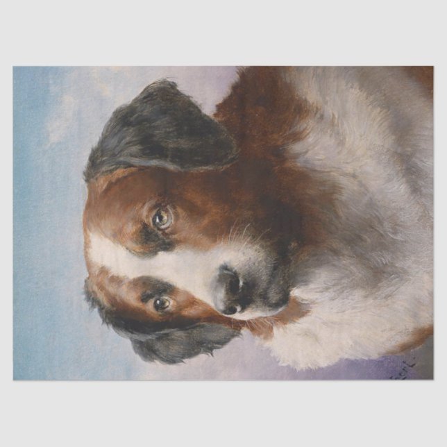 Vintage St. Bernhard Dog Portrait Tissue Paper (Front)