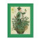 Vintage St Patrick's Day postcard