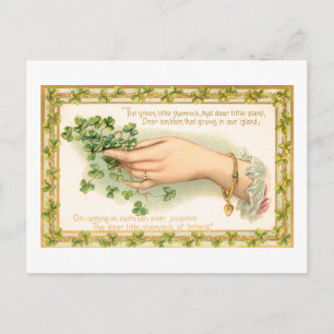 Vintage St. Patrick's Day Shamrocks Postcard