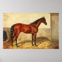 Vintage Stabled Horse Illustration (1905)