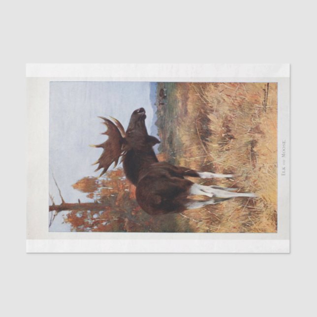 Vintage Stag Moose Ephemera Decoupage Tissue Paper (Front)