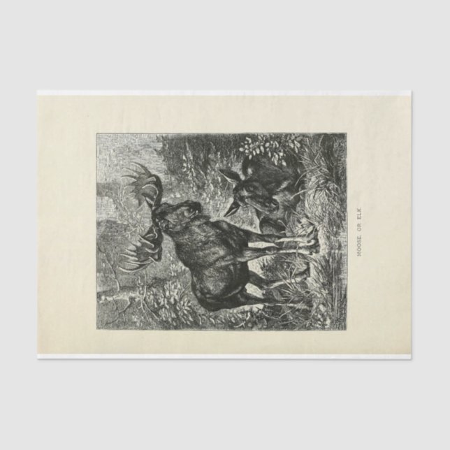 Vintage Stag Moose Ephemera Decoupage Tissue Paper (Front)