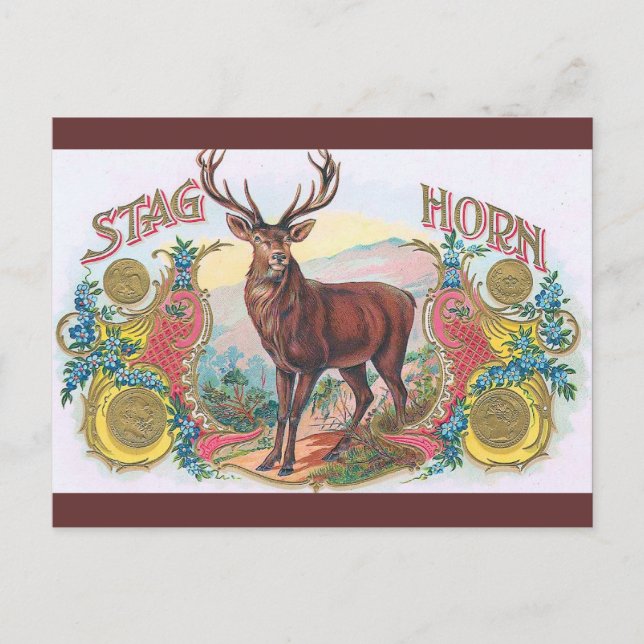 Vintage Stag Postcard (Front)