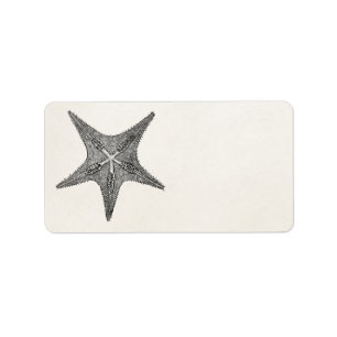Vintage Starfish Antique Star Fish Template Label