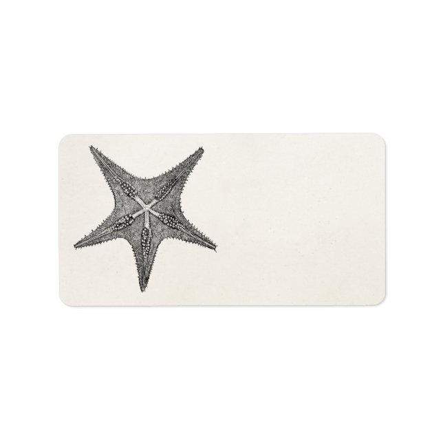 Vintage Starfish Antique Star Fish Template Label (Front)
