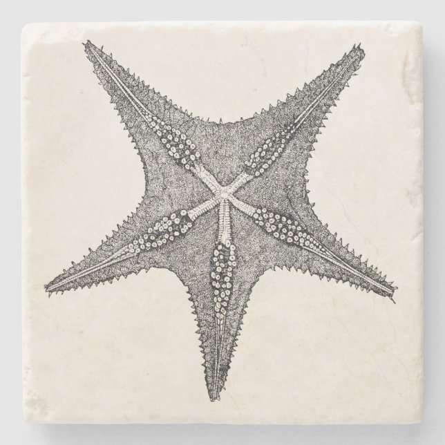 Vintage Starfish Antique Star Fish Template Stone Coaster (Front)
