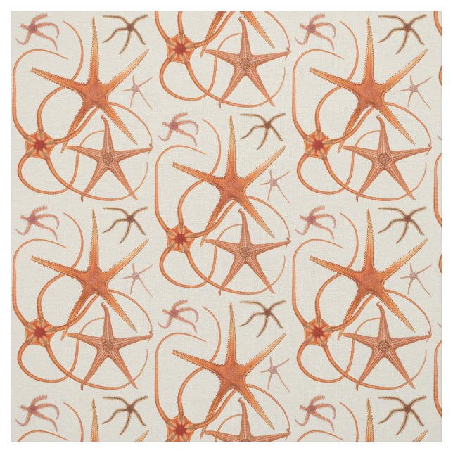 Vintage Starfish Illustration Fabric (Swatch)