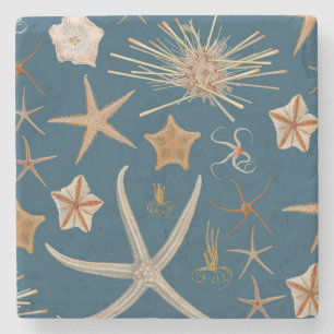 Vintage Starfish Stone Coaster