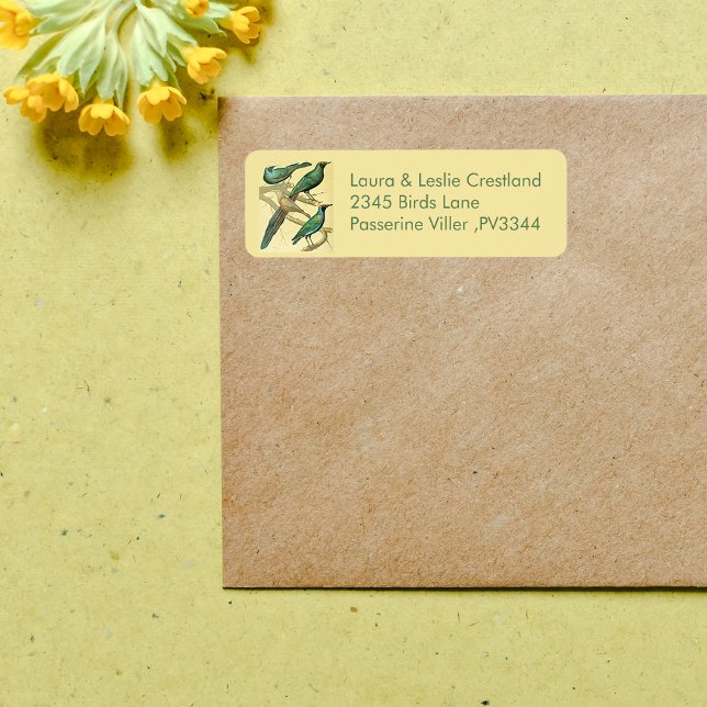 vintage starlings and mynah birds (Creator Uploaded)