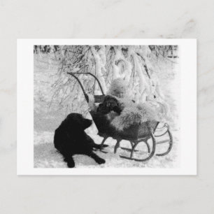 Vintage Stereoview - Baby in Sled Postcard