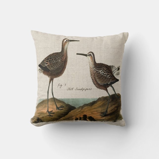 Vintage Stilt Sandpipers Cushion (Front)