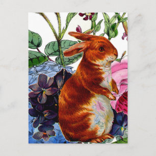 Vintage Story Book Bunny Postcard