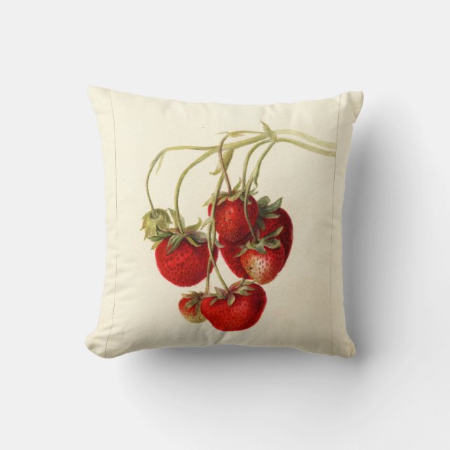Vintage Strawberries Drawing Art Cushion (Front)