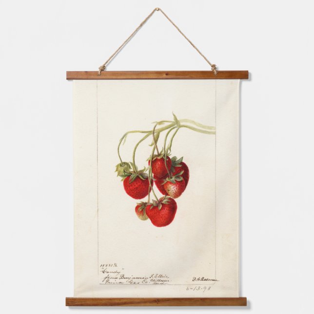 Vintage Strawberries Drawing Art Hanging Tapestry (Front)
