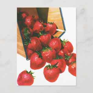 Vintage Strawberries in Basket, Food Fruit Berries Postcard