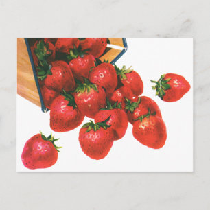 Vintage Strawberries in Basket, Food Fruit Berries Postcard