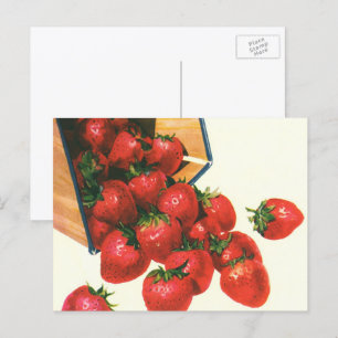 Vintage Strawberries in Basket, Food Fruit Berries Postcard
