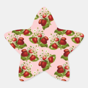 vintage strawberries star sticker