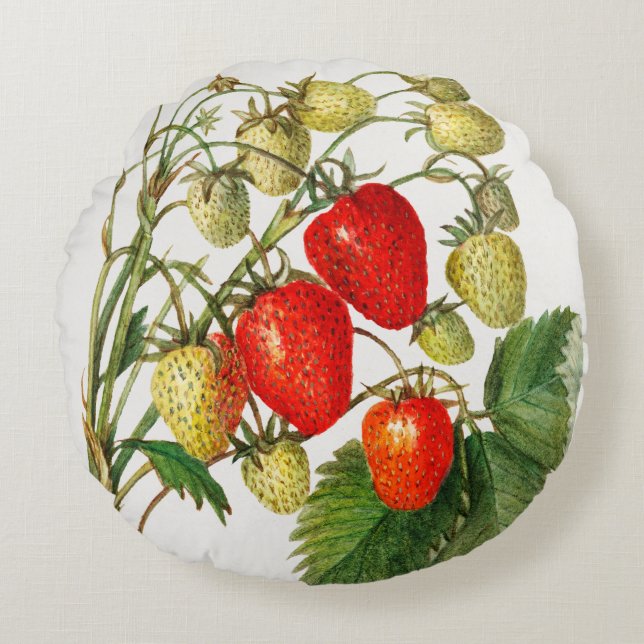 Vintage Strawberry Branch Round Cushion (Front)