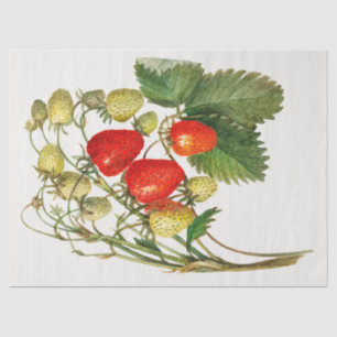 Vintage Strawberry Branch Tissue Paper