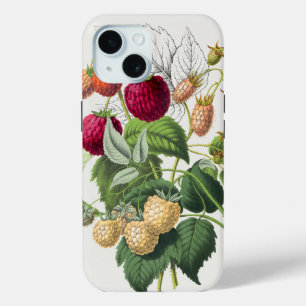 Vintage strawberry  iPhone 15 case
